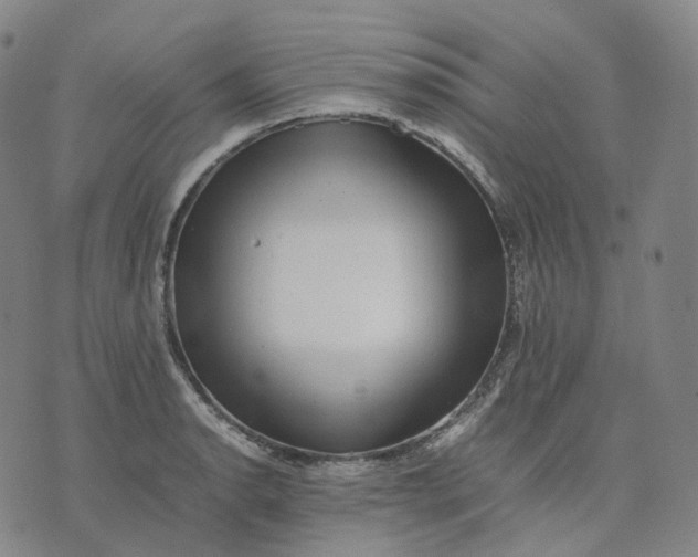 X0000074231134200609151639