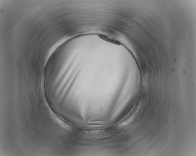 X0000074231149200609151640