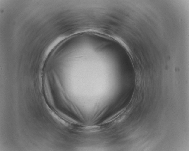 X0000074231151200609151640