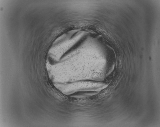 X0000074231153200609151639