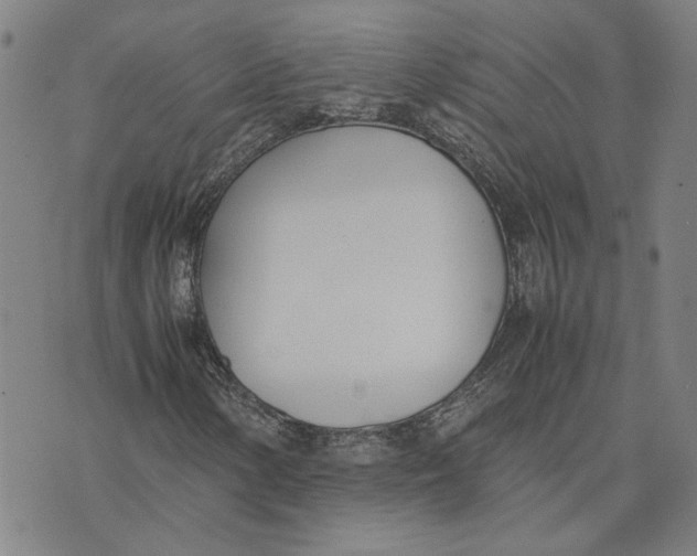 X0000074231154200609151639