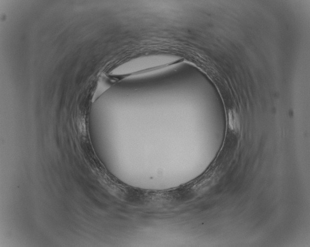 X0000074231155200609151639