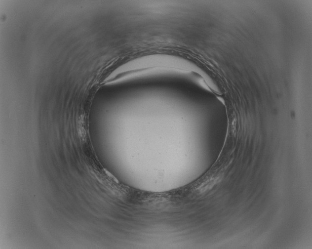 X0000074231156200609151639