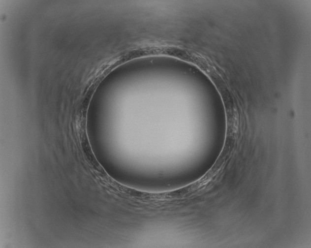 X0000074231157200609151639