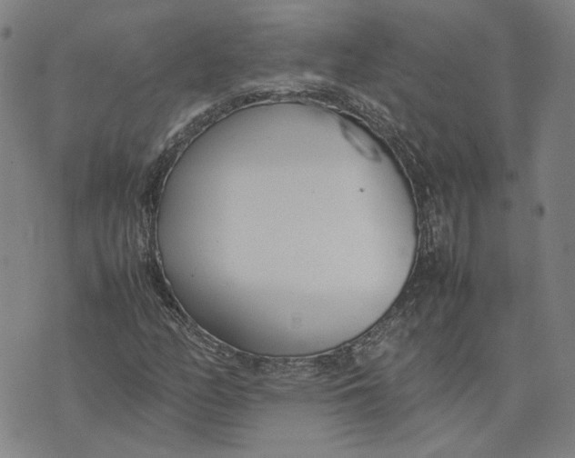 X0000074231158200609151639