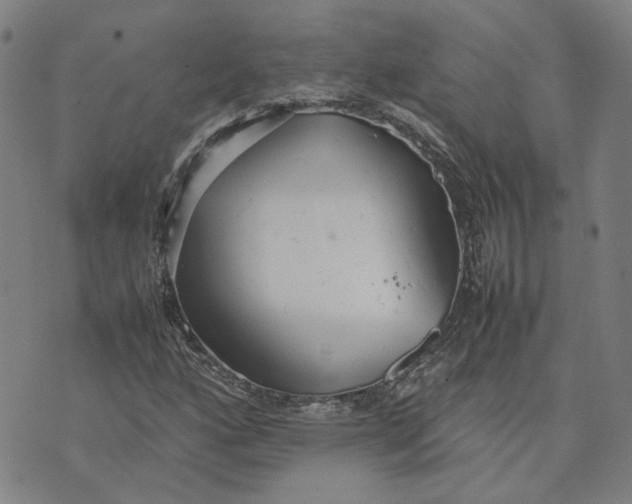 X0000074231160200609151639