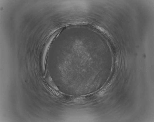 X0000074231161200609151639