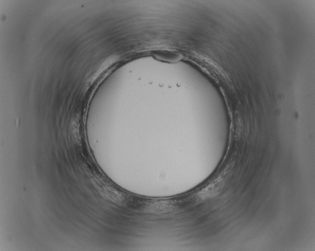 X0000074231162200609151639