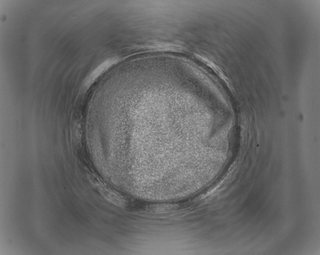 X0000074231163200609151639