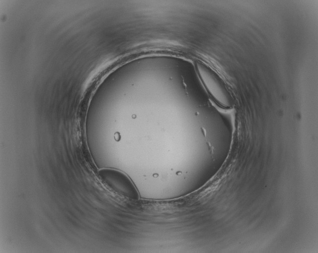 X0000074231164200609151639