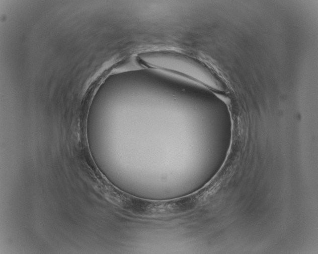 X0000074231165200609151639