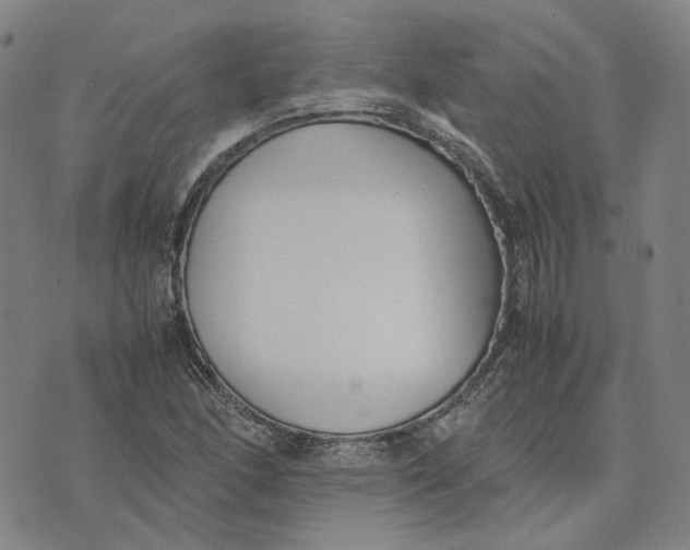 X0000074231166200609151639