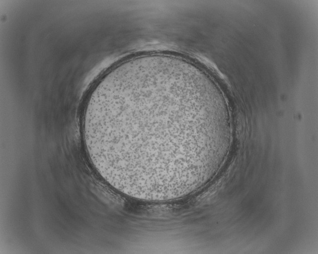 X0000074231167200609151639