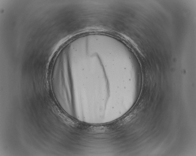 X0000074231168200609151639