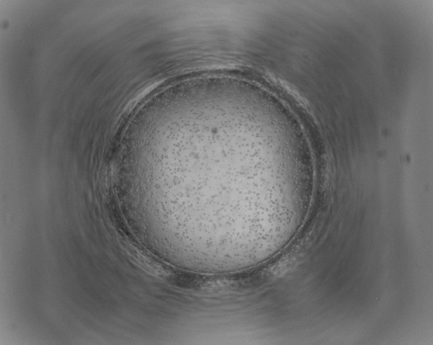 X0000074231169200609151639