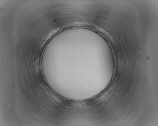 X0000074231170200609151639