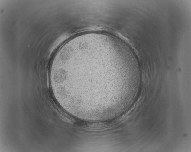 X0000074231171200609151639