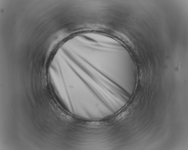 X0000074231172200609151639