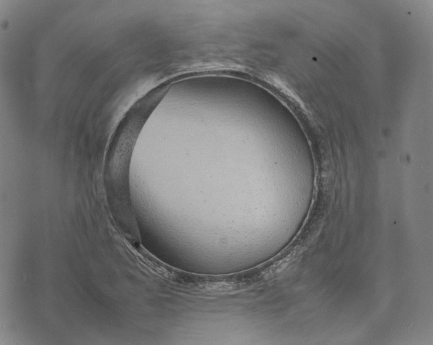 X0000074231173200609151639