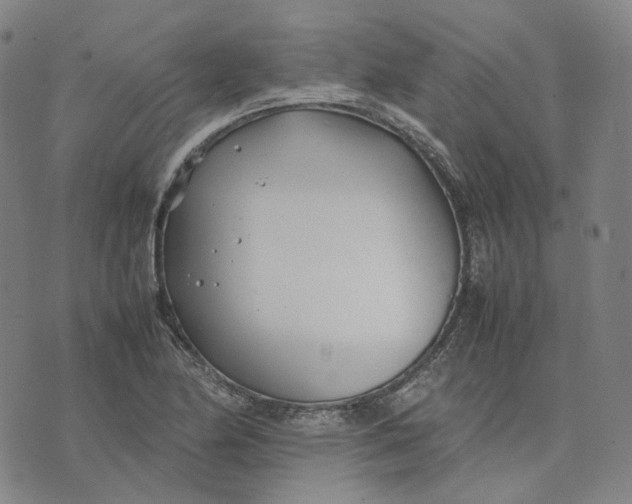 X0000074231174200609151639