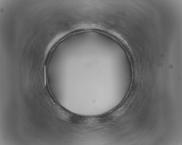 X0000074231175200609151639