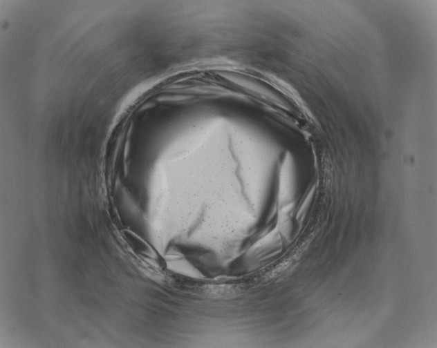 X0000074231176200609151639