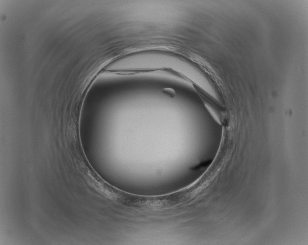 X0000074231177200609151639