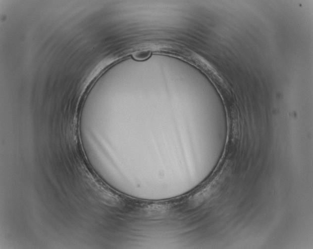 X0000074231178200609151639