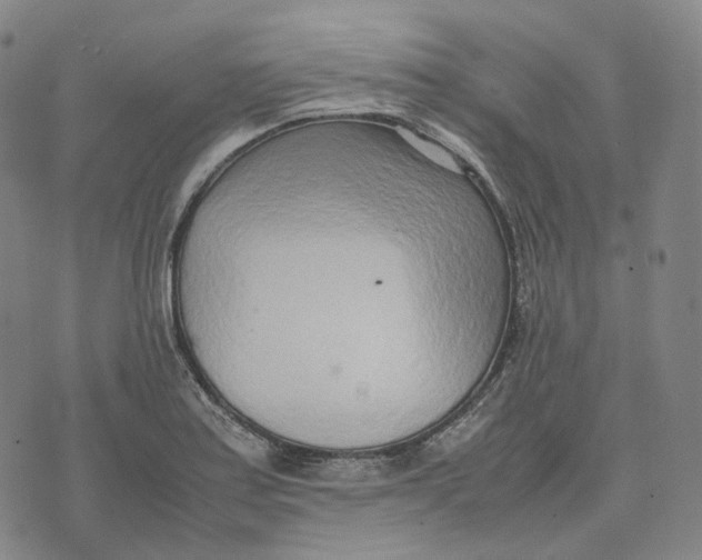 X0000074231179200609151639