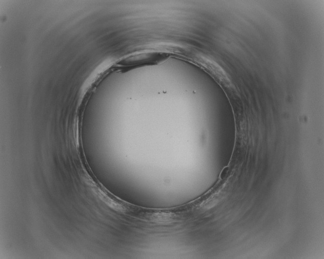 X0000074231180200609151639