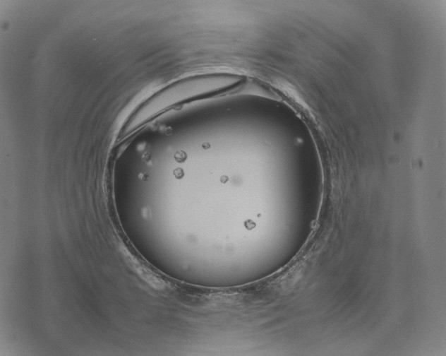 X0000074231181200609151639