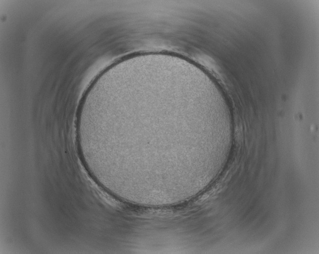 X0000074231183200609151638