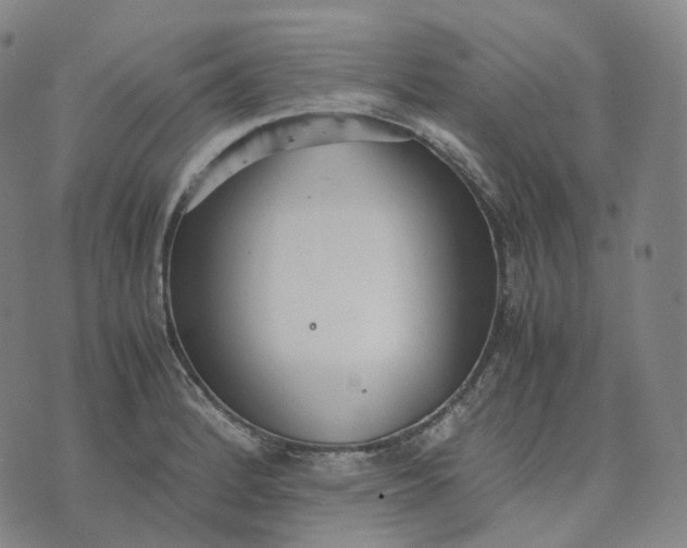 X0000074231184200609151638