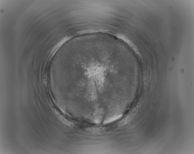 X0000074231185200609151638