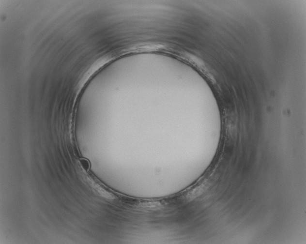 X0000074231186200609151638