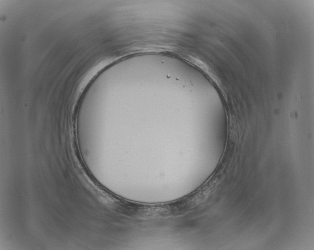 X0000074231187200609151638