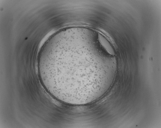 X0000074231188200609151638