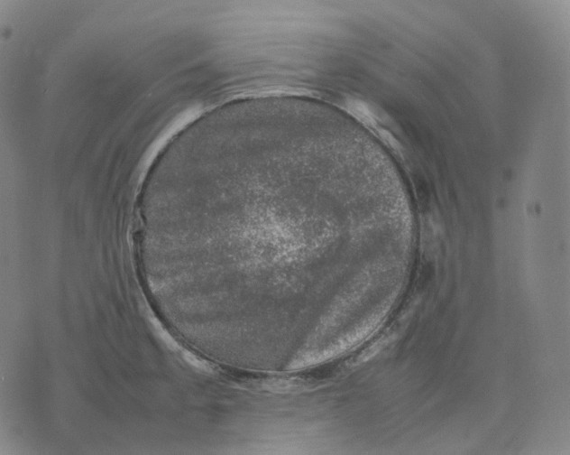 X0000074231189200609151638