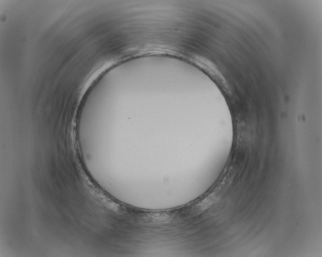 X0000074231190200609151638