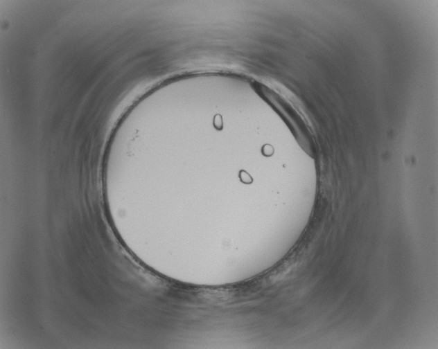 X0000074231191200609151638