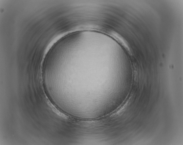 X0000074231192200609151638