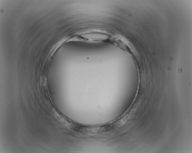 X0000074231193200609151638