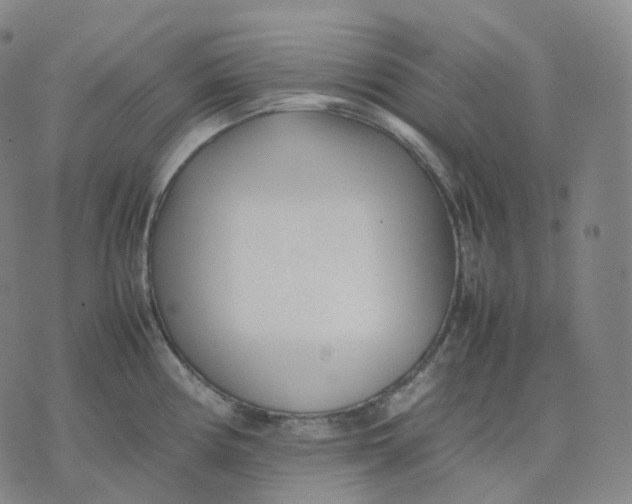 X0000074231194200609151638