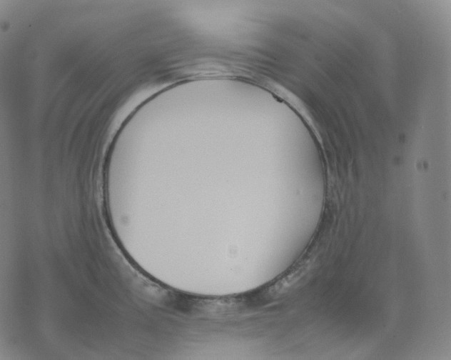 X0000074231195200609151638