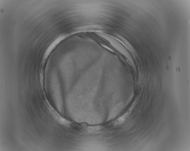 X0000074231196200609151638