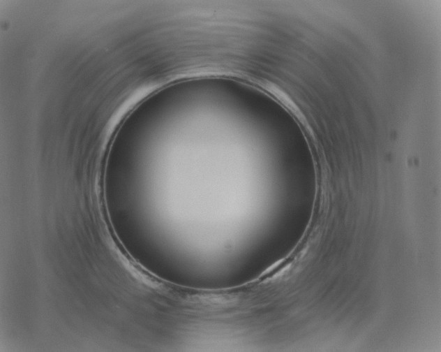 X0000074231197200609151638