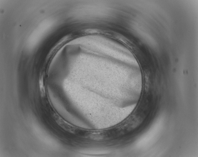 X0000074231198200609151638