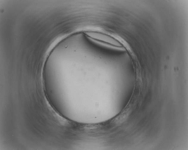 X0000074231199200609151638