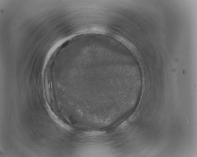 X0000074231200200609151638