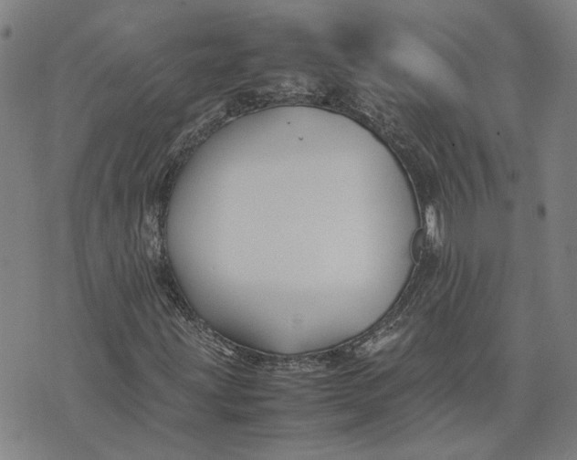 X0000074231203200609151637